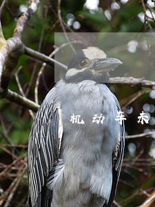 机动车未年检事故诉讼