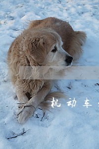 机动车未年检的违法代码 机动车未年检的违法代码