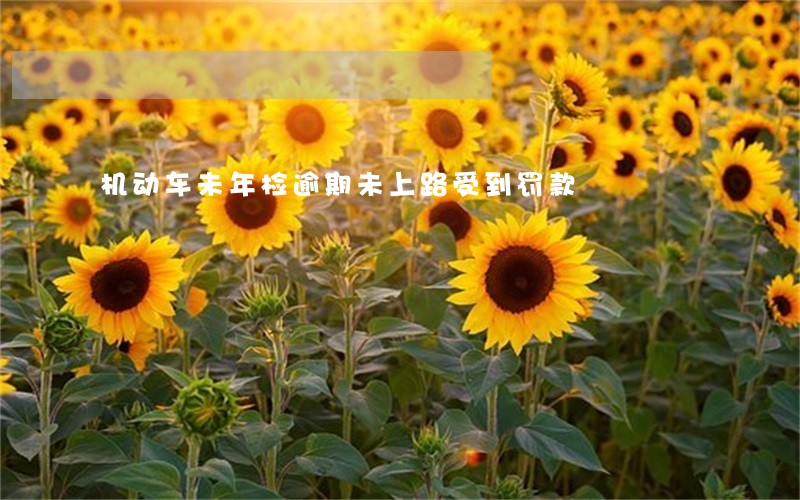 机动车未年检逾期未上路受到罚款 机动车未年检逾期未上路受到罚款