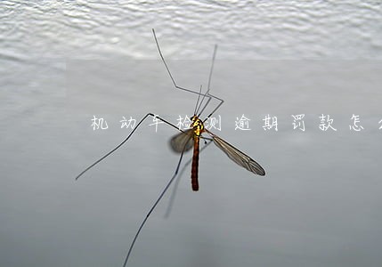 机动车检测逾期罚款怎么交 机动车检测逾期罚款怎么交