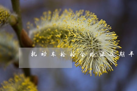 机动车检验合格证逾期半年 机动车检验合格证逾期半年