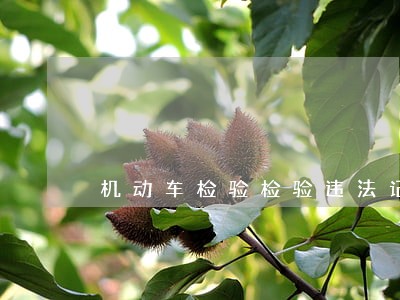 机动车检验检验违法记录吗 机动车检验检验违法记录吗