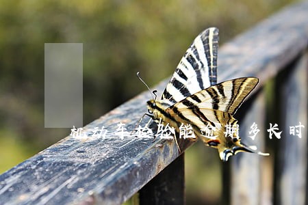 机动车检验能逾期多长时间 机动车检验能逾期多长时间