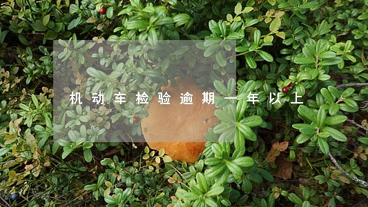 机动车检验逾期一年以上 机动车检验逾期一年以上