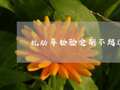 机动车检验逾期不超过一个月