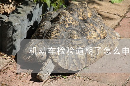 机动车检验逾期了怎么申请 机动车检验逾期了怎么申请