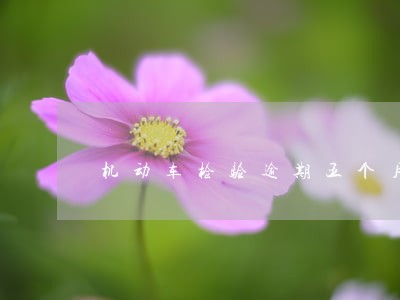 机动车检验逾期五个月 机动车检验逾期五个月