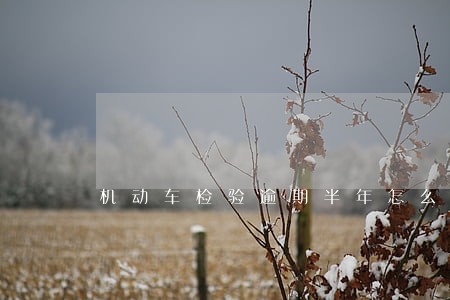 机动车检验逾期半年怎么办