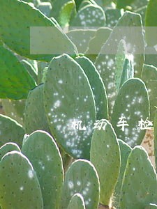 机动车检验逾期后果是什么 机动车检验逾期后果是什么