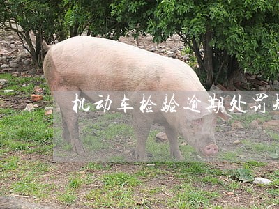 机动车检验逾期处罚规定 机动车检验逾期处罚规定