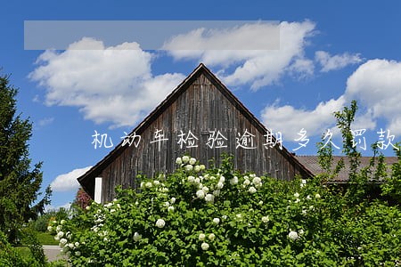 机动车检验逾期多久罚款 机动车检验逾期多久罚款