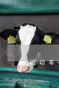 机动车检验逾期用本人办理吗 机动车检验逾期用本人办理吗