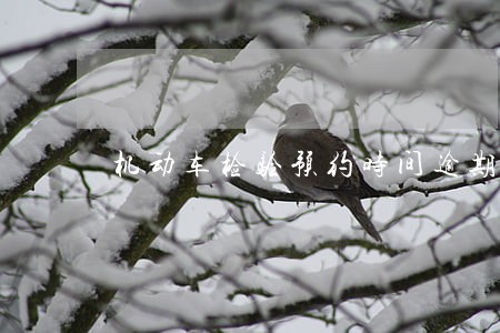 机动车检验预约时间逾期 机动车检验预约时间逾期