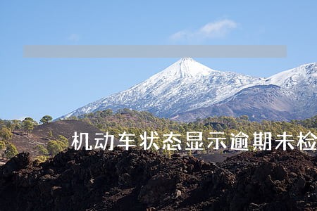 机动车状态显示逾期未检验怎么办 机动车状态显示逾期未检验怎么办