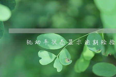 机动车状态显示逾期检验暂扣 机动车状态显示逾期检验暂扣