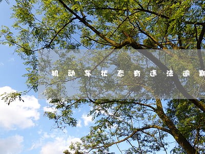 机动车状态有违法逾期 机动车状态有违法逾期