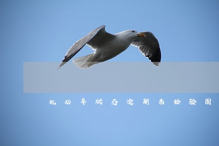 机动车状态逾期未检验图片 机动车状态逾期未检验图片