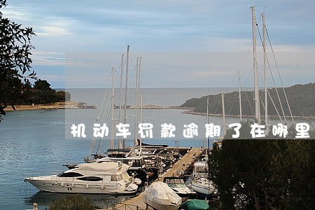 机动车罚款逾期了在哪里处理 机动车罚款逾期了在哪里处理
