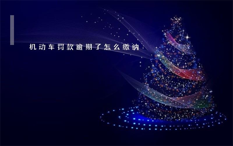 机动车罚款逾期了怎么缴纳 机动车罚款逾期了怎么缴纳