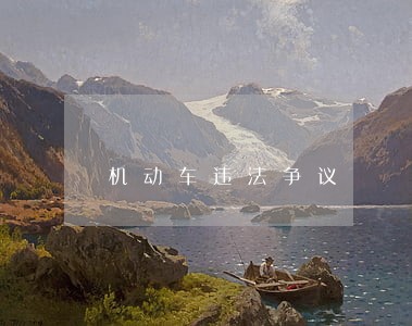 机动车违法争议 机动车违法争议