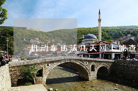 机动车违法几天网上能查询出来