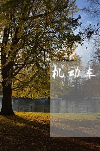 机动车违法可以扣几分 机动车违法可以扣几分
