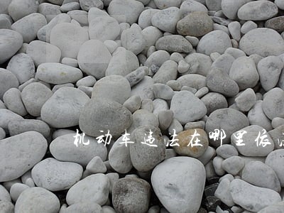 机动车违法在哪里依法处理
