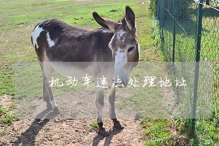 机动车违法处理地址 机动车违法处理地址