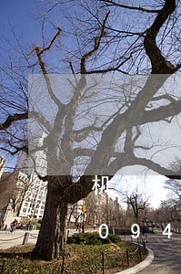 机动车违法处理贾家有点吗/2023020945903 机动车违法处理贾家有点吗/2023020945903