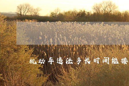机动车违法多长时间能接到通知 机动车违法多长时间能接到通知
