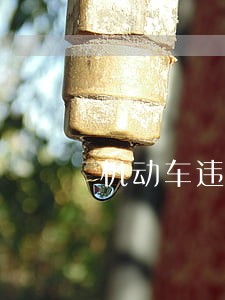 机动车违法改装责任承担 机动车违法改装责任承担