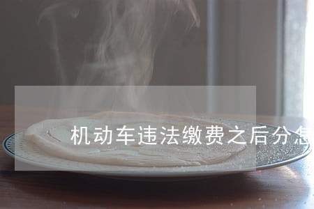 机动车违法缴费之后分怎么扣 机动车违法缴费之后分怎么扣