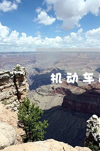 机动车违法行驶罚款 机动车违法行驶罚款