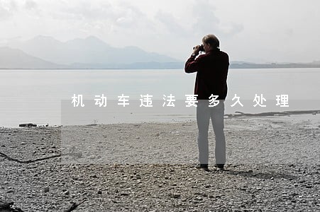 机动车违法要多久处理