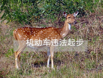 机动车违法起步 机动车违法起步