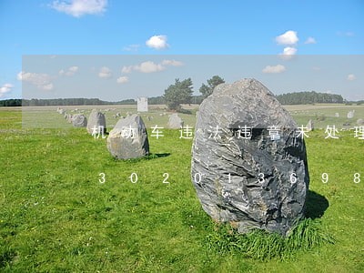机动车违法违章未处理是什么意思/2023020136987 机动车违法违章未处理是什么意思/2023020136987