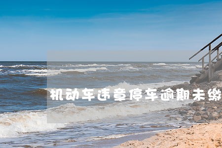 机动车违章停车逾期未缴罚款 机动车违章停车逾期未缴罚款