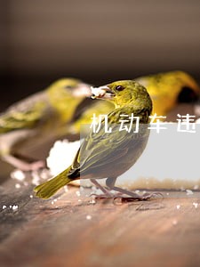 机动车违章缴费逾期 机动车违章缴费逾期