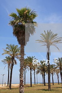 机动车违章网上缴费逾期 机动车违章网上缴费逾期