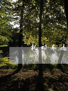 机动车违章罚款逾期怎么处理 机动车违章罚款逾期怎么处理