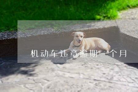 机动车违章逾期一个月 机动车违章逾期一个月