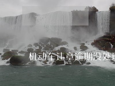 机动车违章逾期没处理滞纳金 机动车违章逾期没处理滞纳金