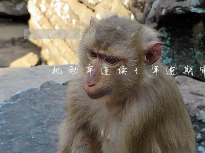 机动车连续3年逾期审 机动车连续3年逾期审