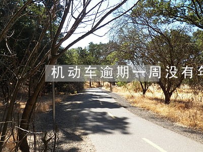 机动车逾期一周没有年检
