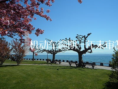 机动车逾期一年未审怎么办 机动车逾期一年未审怎么办