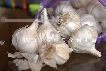 机动车逾期三个月未审 机动车逾期三个月未审