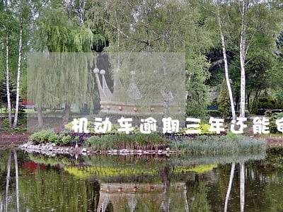 机动车逾期三年还能审验吗 机动车逾期三年还能审验吗