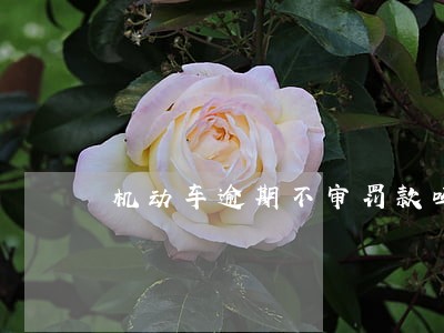 机动车逾期不审罚款吗 机动车逾期不审罚款吗