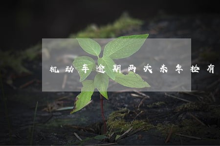 机动车逾期两次未年检有什么处罚 机动车逾期两次未年检有什么处罚