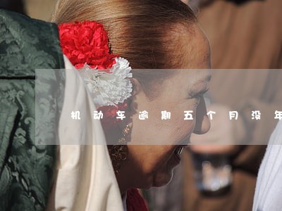 机动车逾期五个月没年检有影响吗 机动车逾期五个月没年检有影响吗
